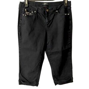 EUC Earl Jeans Denim,Crop, Rhinestones, Embellished, Embroidery, Metallic, Sz 12
